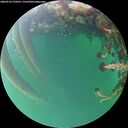 ./images/calvert/underwater/20260523/underwater20260523_210501M.jpg