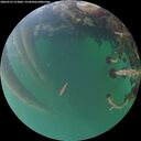 ./images/calvert/underwater/20260523/underwater20260523_213001M.jpg