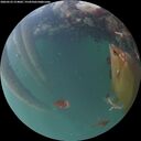 ./images/calvert/underwater/20260523/underwater20260523_214002M.jpg