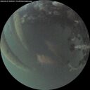 ./images/calvert/underwater/20260523/underwater20260523_220501M.jpg