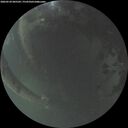./images/calvert/underwater/20260524/underwater20260524_045501M.jpg