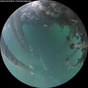 ./images/calvert/underwater/20260524/underwater20260524_052001M.jpg