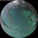 ./images/calvert/underwater/20260524/underwater20260524_052501M.jpg