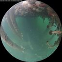 ./images/calvert/underwater/20260524/underwater20260524_053001M.jpg