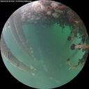 ./images/calvert/underwater/20260524/underwater20260524_053501M.jpg