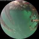 ./images/calvert/underwater/20260524/underwater20260524_054001M.jpg