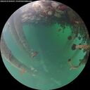 ./images/calvert/underwater/20260524/underwater20260524_054501M.jpg