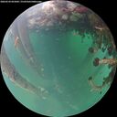 ./images/calvert/underwater/20260524/underwater20260524_055001M.jpg
