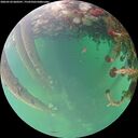 ./images/calvert/underwater/20260524/underwater20260524_060501M.jpg