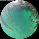 ./images/calvert/underwater/20260524/underwater20260524_061001M.jpg