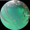 ./images/calvert/underwater/20260524/underwater20260524_061501M.jpg