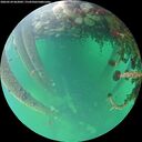./images/calvert/underwater/20260524/underwater20260524_062002M.jpg
