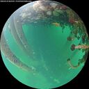./images/calvert/underwater/20260524/underwater20260524_062501M.jpg