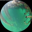 ./images/calvert/underwater/20260524/underwater20260524_063001M.jpg