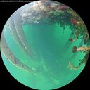 ./images/calvert/underwater/20260524/underwater20260524_063501M.jpg