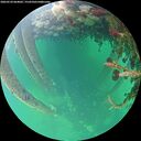 ./images/calvert/underwater/20260524/underwater20260524_064002M.jpg