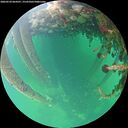 ./images/calvert/underwater/20260524/underwater20260524_064501M.jpg