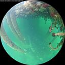 ./images/calvert/underwater/20260524/underwater20260524_065001M.jpg