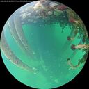 ./images/calvert/underwater/20260524/underwater20260524_065501M.jpg