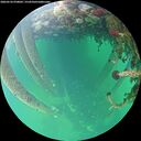 ./images/calvert/underwater/20260524/underwater20260524_070002M.jpg
