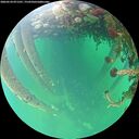 ./images/calvert/underwater/20260524/underwater20260524_071501M.jpg