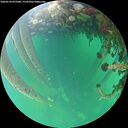 ./images/calvert/underwater/20260524/underwater20260524_072501M.jpg