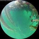 ./images/calvert/underwater/20260524/underwater20260524_073501M.jpg