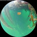 ./images/calvert/underwater/20260524/underwater20260524_075501M.jpg