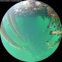./images/calvert/underwater/20260524/underwater20260524_080001M.jpg