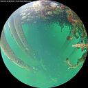./images/calvert/underwater/20260524/underwater20260524_081001M.jpg