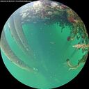 ./images/calvert/underwater/20260524/underwater20260524_081501M.jpg