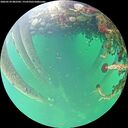 ./images/calvert/underwater/20260524/underwater20260524_082502M.jpg