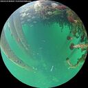 ./images/calvert/underwater/20260524/underwater20260524_084001M.jpg