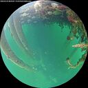./images/calvert/underwater/20260524/underwater20260524_084502M.jpg