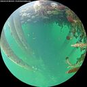 ./images/calvert/underwater/20260524/underwater20260524_085501M.jpg