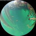 ./images/calvert/underwater/20260524/underwater20260524_090002M.jpg