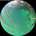 ./images/calvert/underwater/20260524/underwater20260524_091001M.jpg