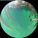 ./images/calvert/underwater/20260524/underwater20260524_091501M.jpg