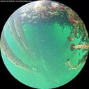 ./images/calvert/underwater/20260524/underwater20260524_092001M.jpg