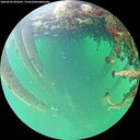 ./images/calvert/underwater/20260524/underwater20260524_092501M.jpg