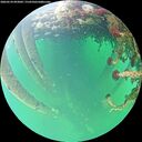 ./images/calvert/underwater/20260524/underwater20260524_093001M.jpg