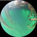 ./images/calvert/underwater/20260524/underwater20260524_094001M.jpg