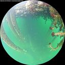 ./images/calvert/underwater/20260524/underwater20260524_094501M.jpg