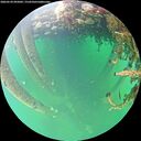 ./images/calvert/underwater/20260524/underwater20260524_095002M.jpg