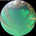 ./images/calvert/underwater/20260524/underwater20260524_095501M.jpg