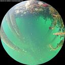 ./images/calvert/underwater/20260524/underwater20260524_100001M.jpg