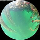 ./images/calvert/underwater/20260524/underwater20260524_100501M.jpg
