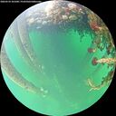 ./images/calvert/underwater/20260524/underwater20260524_101001M.jpg