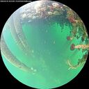 ./images/calvert/underwater/20260524/underwater20260524_101501M.jpg