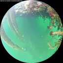./images/calvert/underwater/20260524/underwater20260524_102002M.jpg